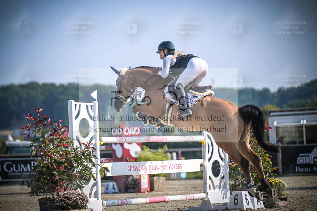 DOS_1279 | Entdecke hochwertige Reitturnierfotos von Foto Oger. Professionell, emotional und authentisch – jetzt Lieblingsmomente im Shop bestellen. - Realisiert mit Pictrs.com