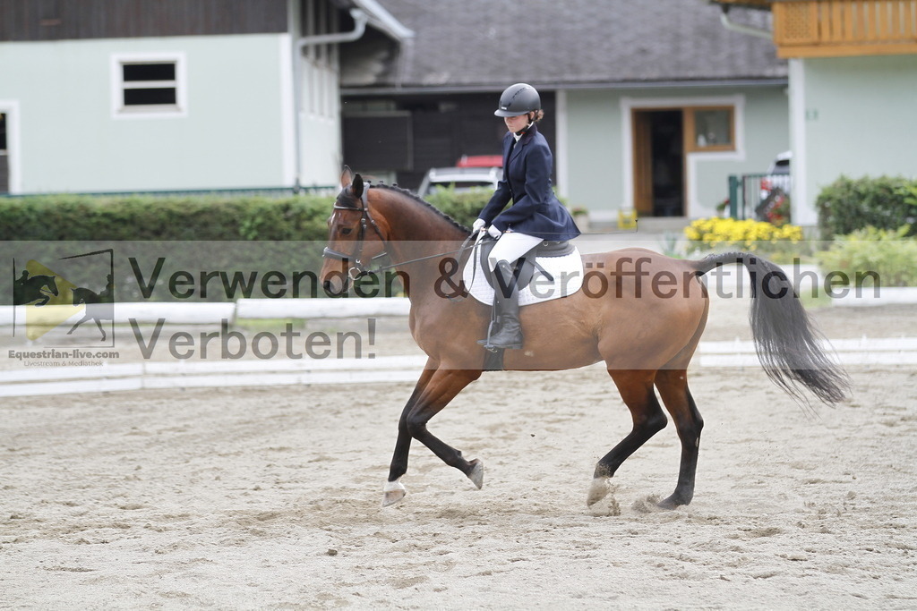 _MG_1134 | equestrian-live-com