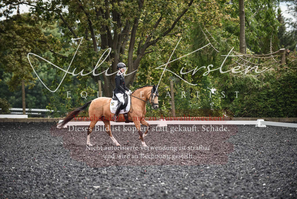 DSC_4434 | Pferde- und Turnierfotografie in Westsachsen. Pferdeportraits, Auftragszeichnungen und intuitive Kunst.