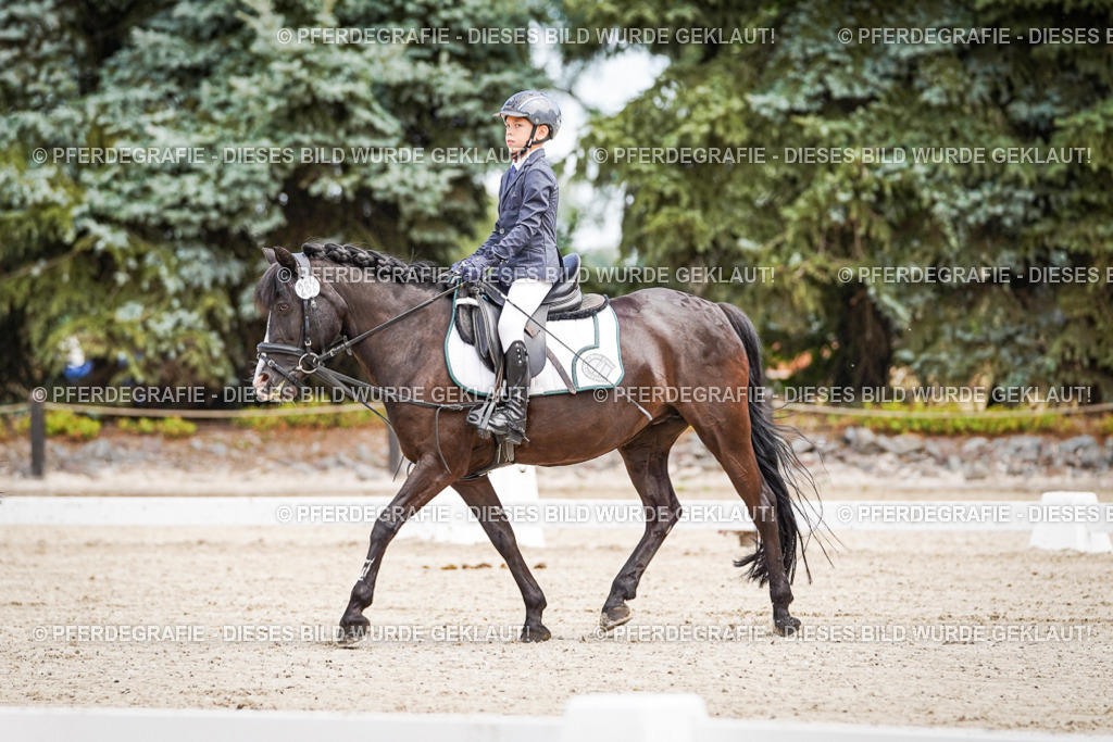 DSC02835 | Pferdegrafie