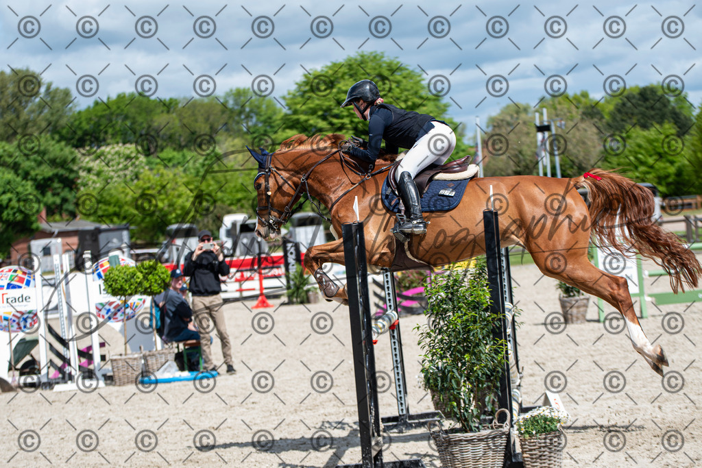 KPT_5256 | andre_photographic