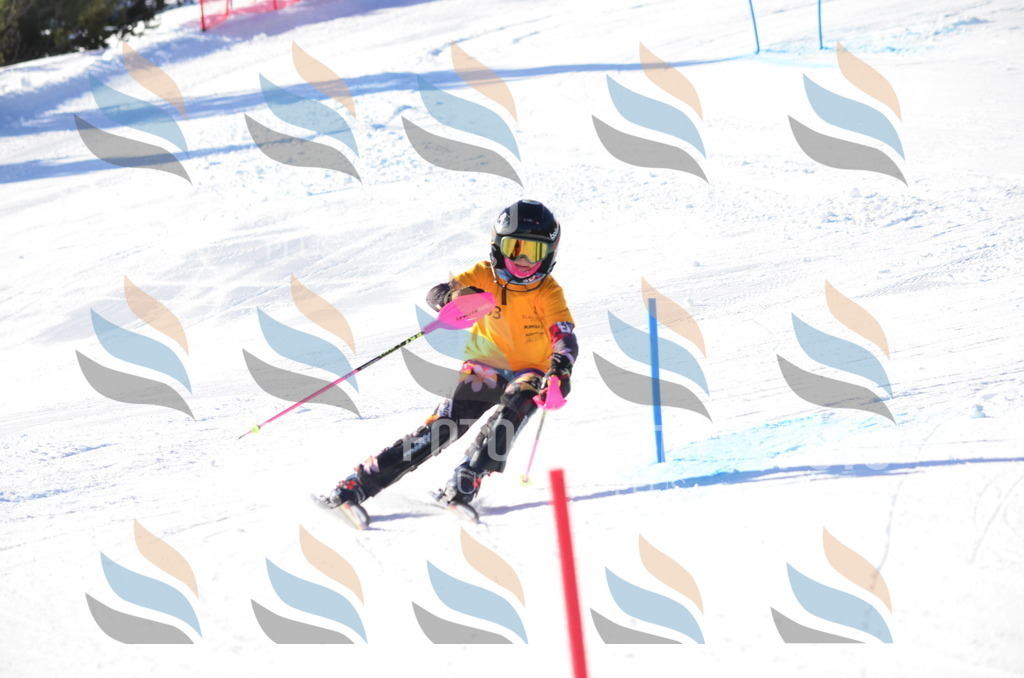 C5813 | holidayphoto