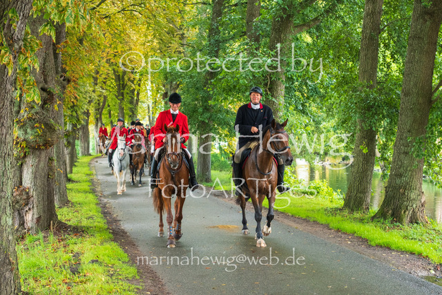 Jagd Kletkamp 26-9558_MarinaHewig | Fotografie, FotoArt, PferdesportArt, Pferdesportfotografie, Landschaftsfotografie, Reisefotografie, Reise, Pferde - Realisiert mit Pictrs.com