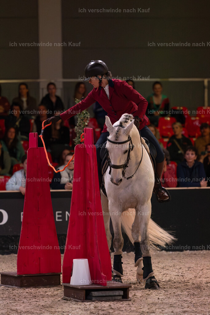 JoseraCup-171 | working equitationturnier fotograf videograf stoibphotography marixx film working equitation deutschland reitsport turnierfotografie eventfotografie equestrian events