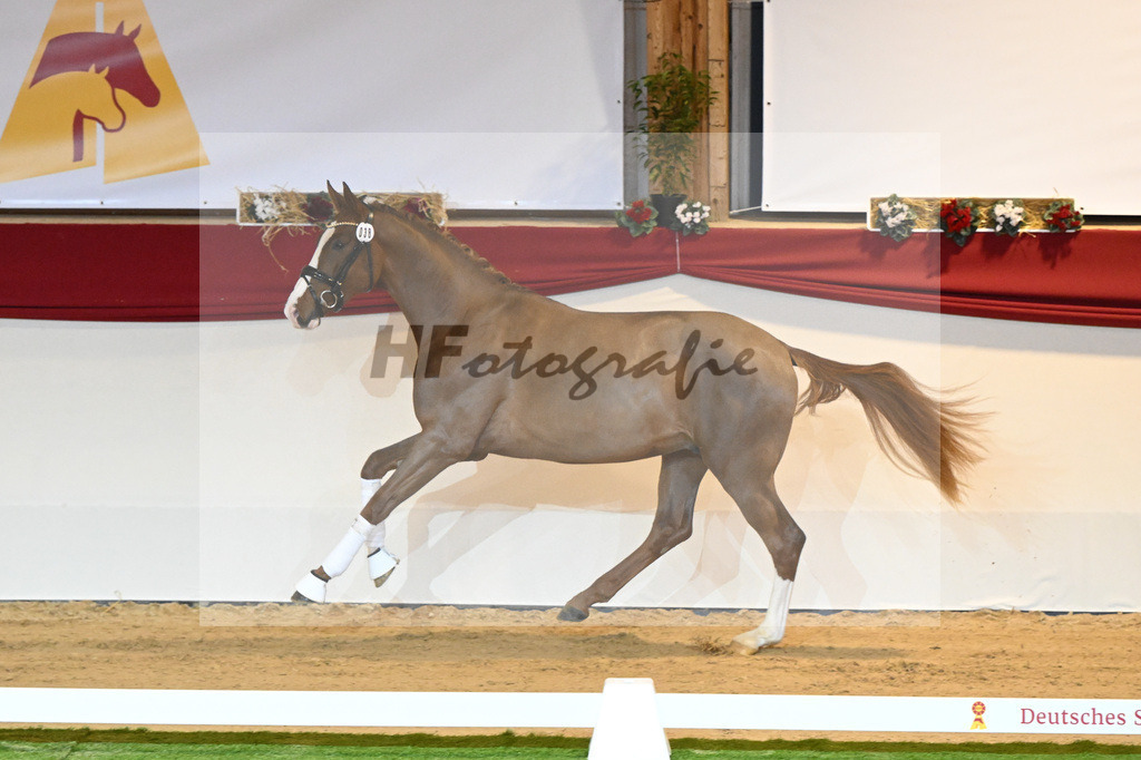 Kat-Nr. 38 Benicio_Wille_1230024 | hf-fotografie - Realisiert mit Pictrs.com