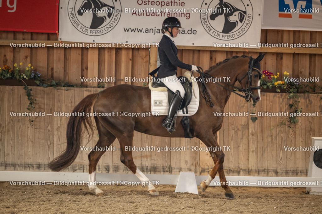 _D5A9485 | Emotionale Pferde- & People-Fotografie rund um Heidelberg, Leimen & Umgebung. Natürliche Fotos von Pferd, Mensch & Familie. Jetzt Termin sichern!