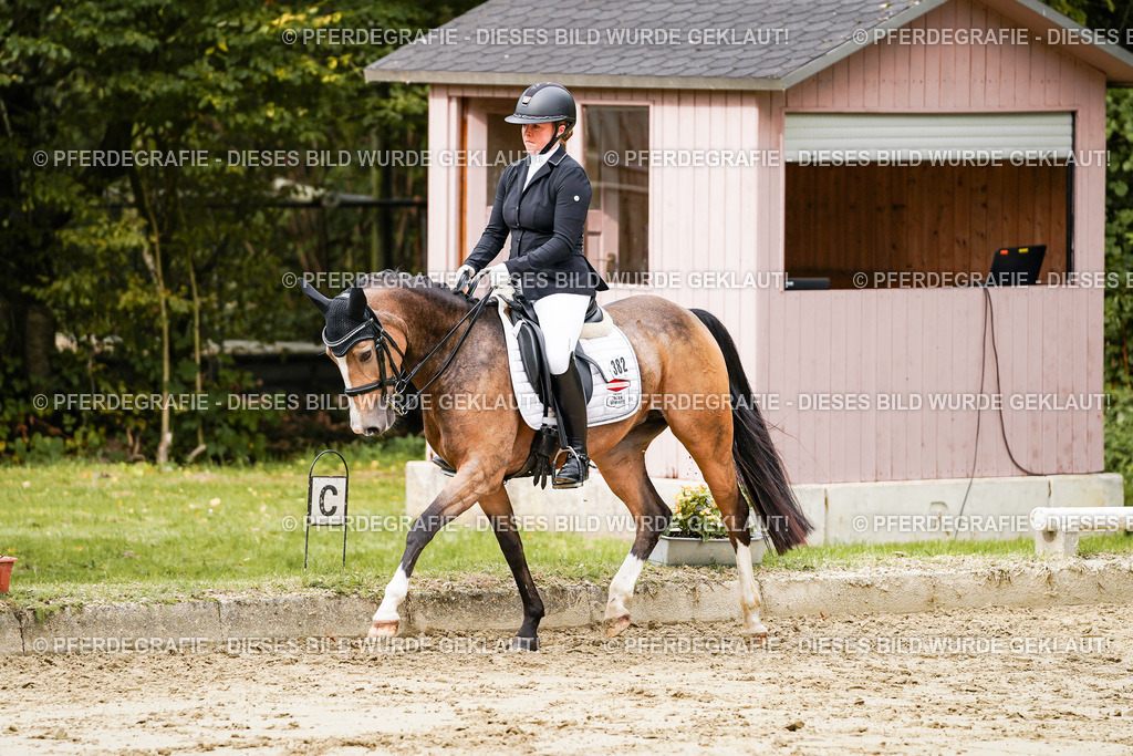 DSC02590 | Pferdegrafie