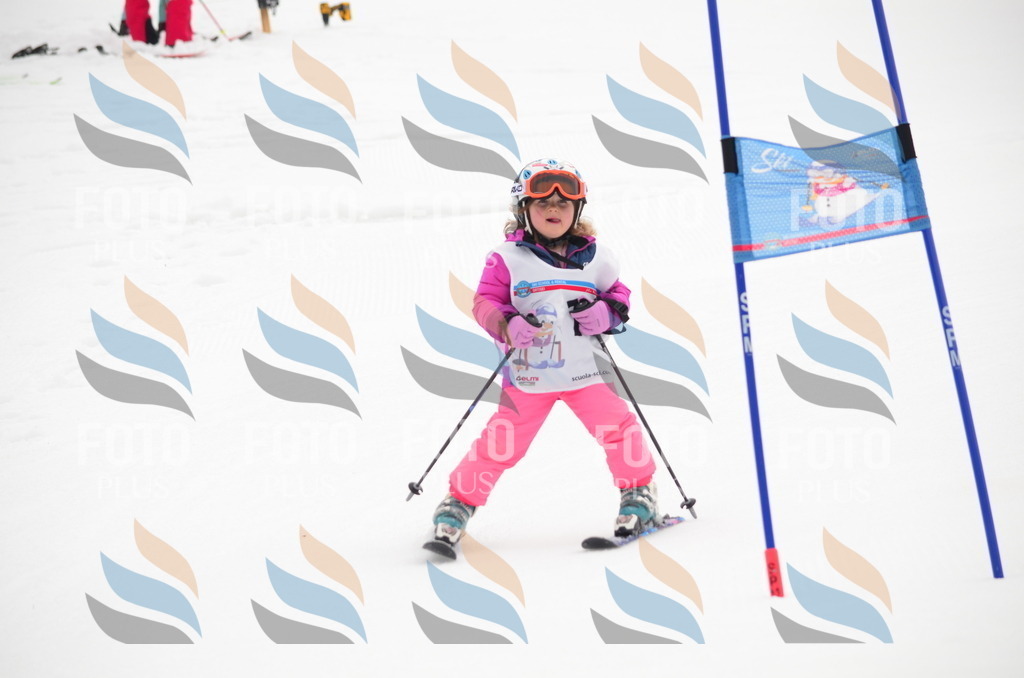 B9314 | holidayphoto