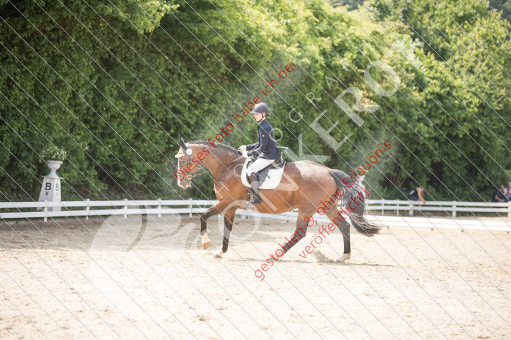 IMG_3877 | Sport-, Event- und Tierfotos in Profiqualität. Einfach auswählen, bestellen und herunterladen. Dein Moment – perfekt festgehalten.