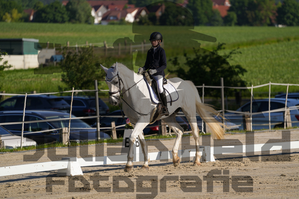 DSC02696 | Julian Held Fotografie - Realisiert mit Pictrs.com