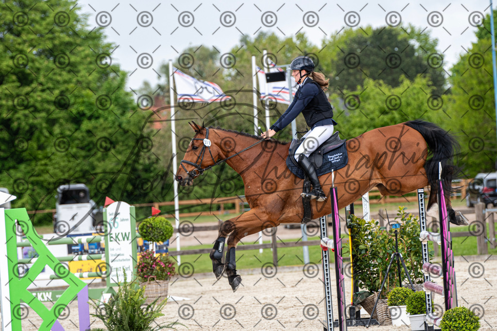 KPT_9903 | andre_photographic