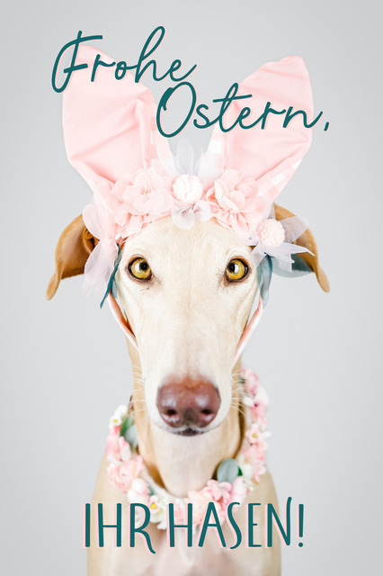 Frohe Ostern | "Frohe Ostern, ihr Hasen!"