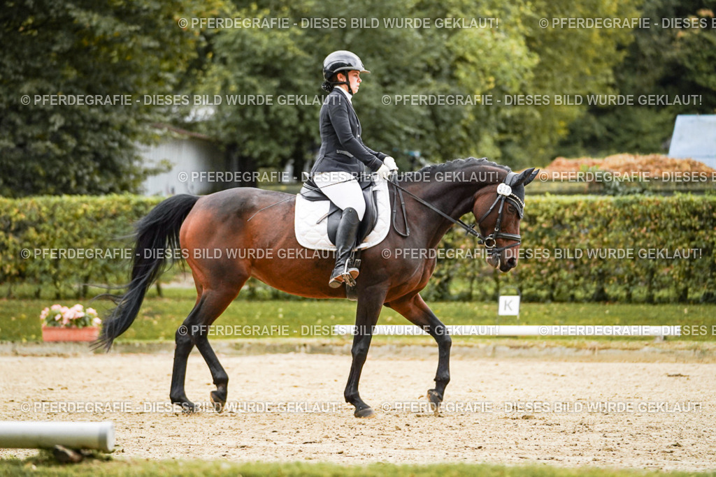 DSC07010 | Pferdegrafie