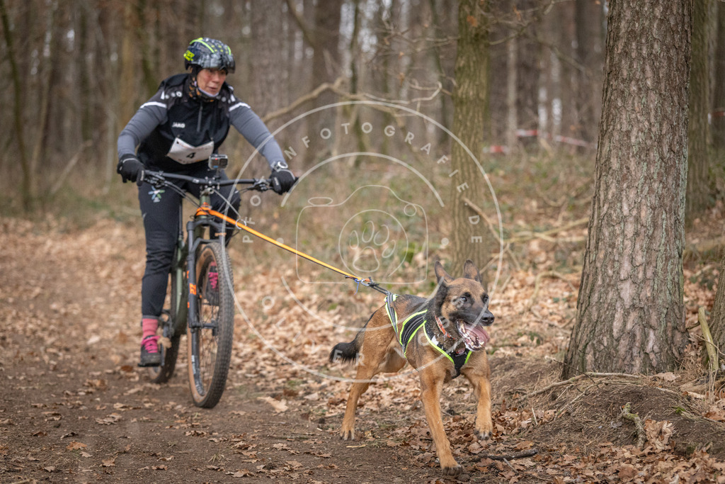 Pfotenfotografie_DV3A6376 | Hundefotografie, Tierfotograf, Pfotenfotografie, Fotoshooting Hund, Hunde Portrait, Hundesport, Hundeportraits, Heideshooting, Hunde, Sportfotograf, Hundefotograf, Turnierhundsport, THS,  - Realisiert mit Pictrs.com