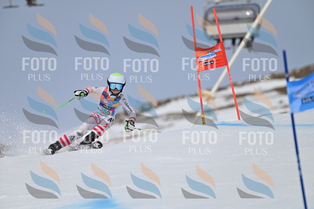 BGV_5047 | holidayphoto