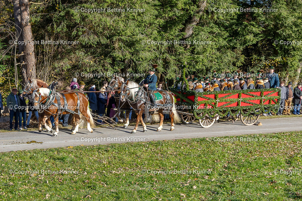 LBT25-147 | foto-bettina-krinner - Realisiert mit Pictrs.com