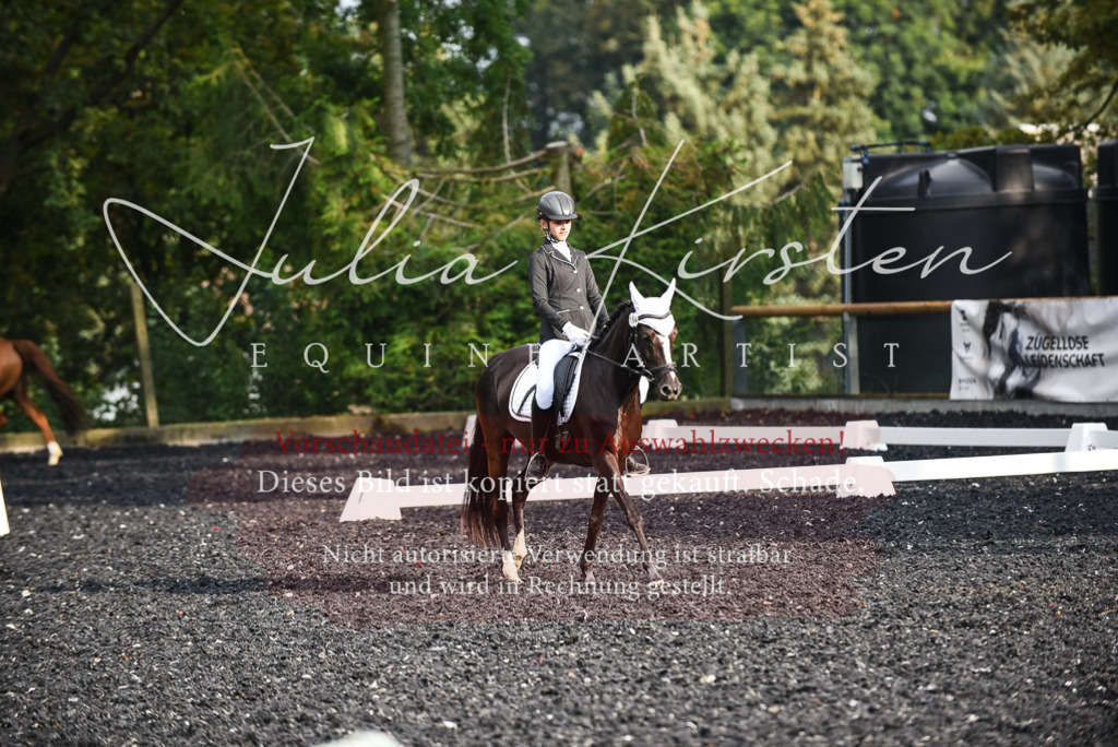 DSC_3380 | Pferde- und Turnierfotografie in Westsachsen. Pferdeportraits, Auftragszeichnungen und intuitive Kunst.