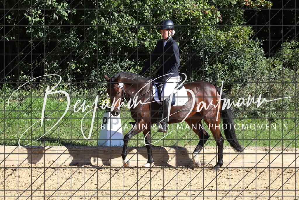 IMG_5347 | Benjamin Bartmann Photomoments