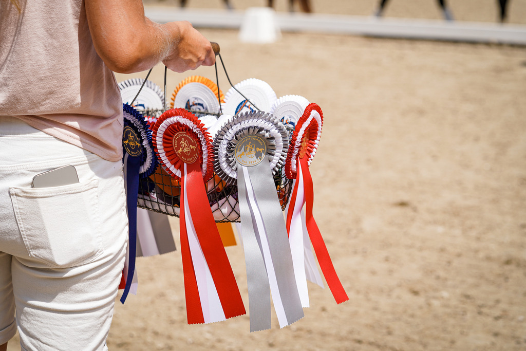 DSC01721 | Pferdegrafie