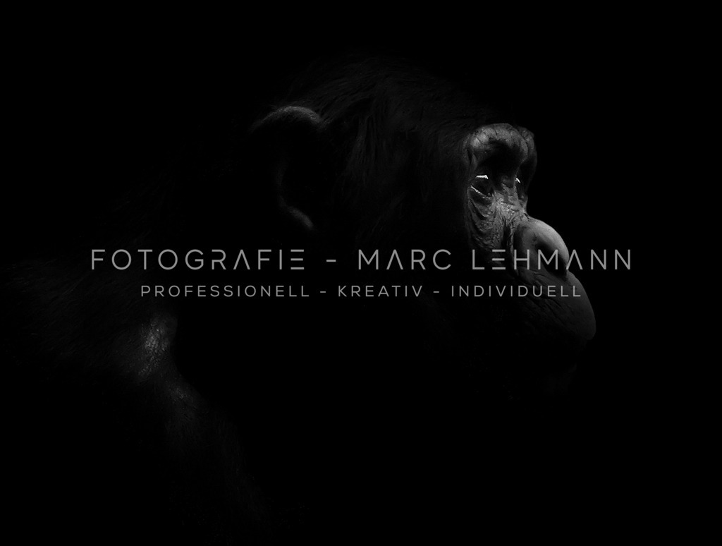 DSCN5163 | Fotografie Marc Lehmann - Realisiert mit Pictrs.com