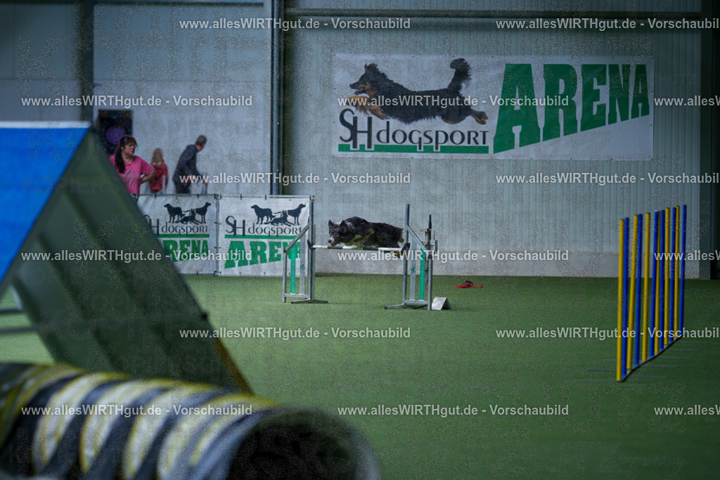 @allesWIRTHgut_Tierfotografie - www.allesWIRTHgut.de - 2604251232-7R502061 | Professionelle Tierfotografie in Mönchengladbach von Daniel Wirth (allesWIRTHgut). Liebevolle & natürliche Bilder von Hunden & Katzen für unvergessliche Erinnerungen.