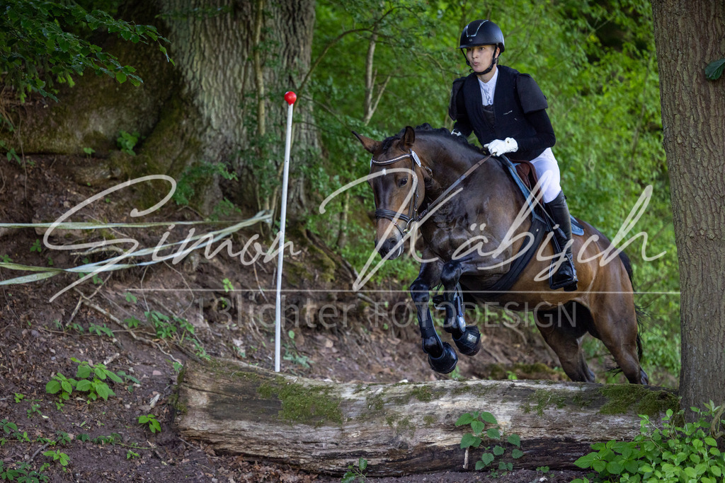 20260523-_3LI6109 | Tierfotografie Pferde, Hunde, Katzen, Haustiere.
Turnierfotografie Reitturniere, Reiten, Springreiten, Dressur in Hanau, dem Main-Kinzig-Kreis und dem Rhein-Main- Gebiet um Frankfurt