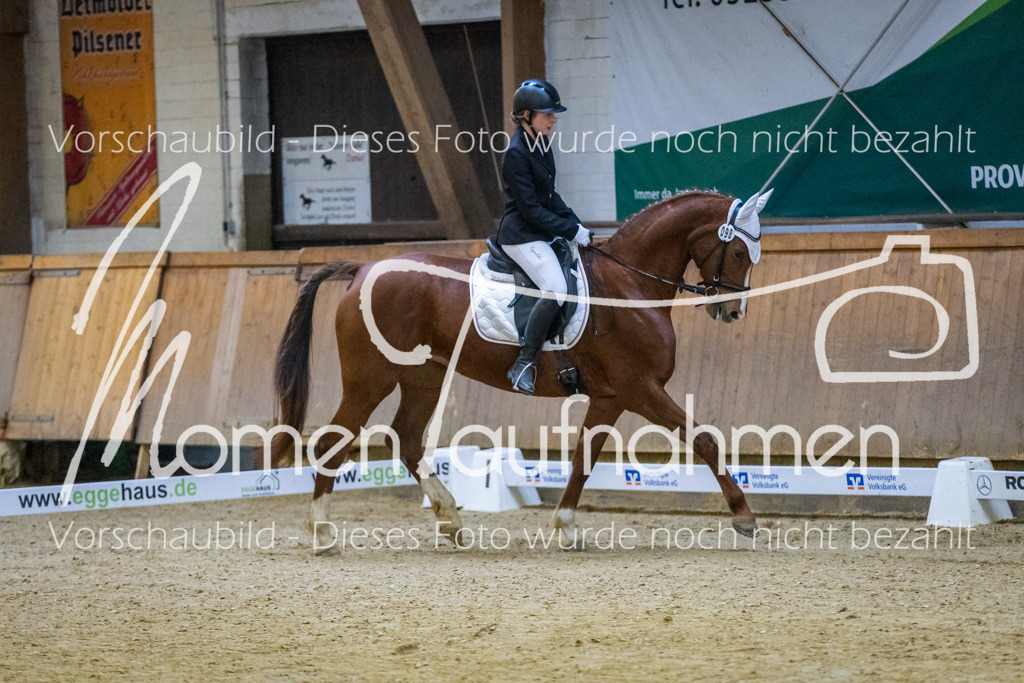 Sth-WBO25-DrR-062 | MomenTaufnahmen Pferdesportfotos