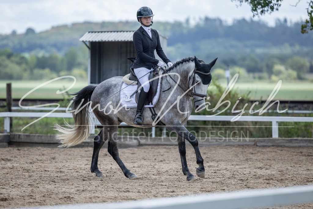 20260905-_3LI8131 | Tierfotografie Pferde, Hunde, Katzen, Haustiere.
Turnierfotografie Reitturniere, Reiten, Springreiten, Dressur in Hanau, dem Main-Kinzig-Kreis und dem Rhein-Main- Gebiet um Frankfurt