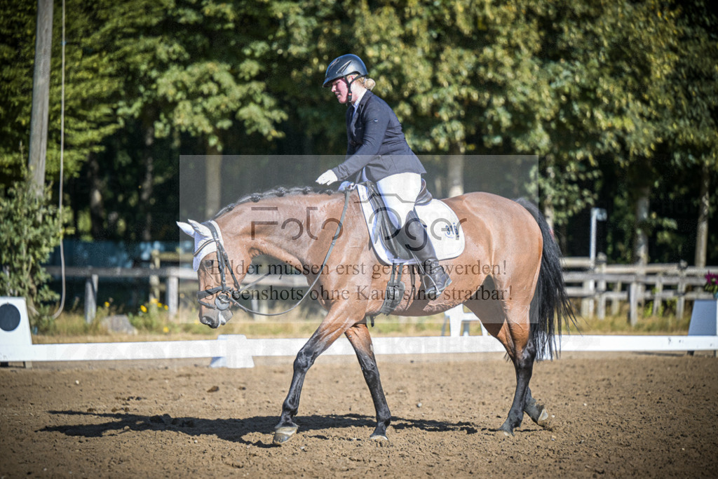 DOS_1086 | Entdecke hochwertige Reitturnierfotos von Foto Oger. Professionell, emotional und authentisch – jetzt Lieblingsmomente im Shop bestellen.Deutschlandweite Turnierfotografie. - Realisiert mit Pictrs.com