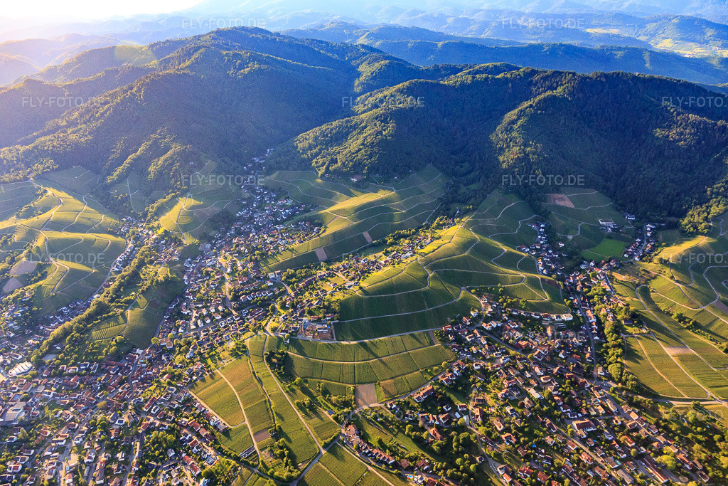 Luftbild: Ortsansicht von Südwesten zwischen Weinbergen im Ortsteil Zell in Offenburg im Bundesland Baden-Württemberg in Deutschland. Foto: IMG_114950.jpg vom 01.06.2019 durch Werner Riehm/FLY-FOTO.de