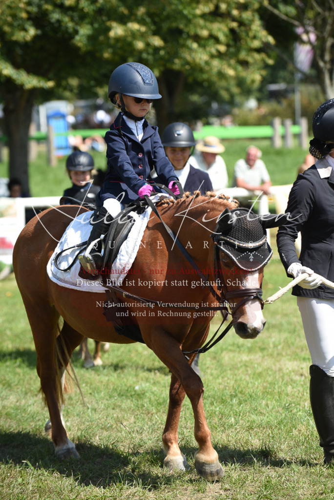DSC_9845 | Pferde- und Turnierfotografie in Westsachsen. Pferdeportraits, Auftragszeichnungen und intuitive Kunst.