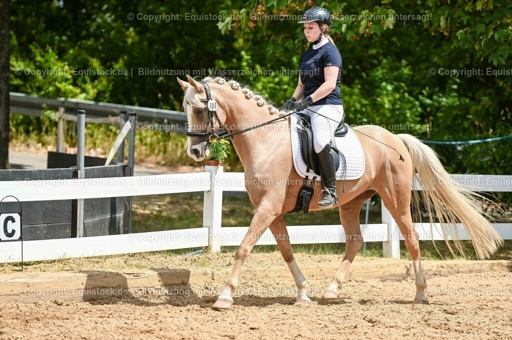 20230715_09_Dressur-WB_0517 | equistock
