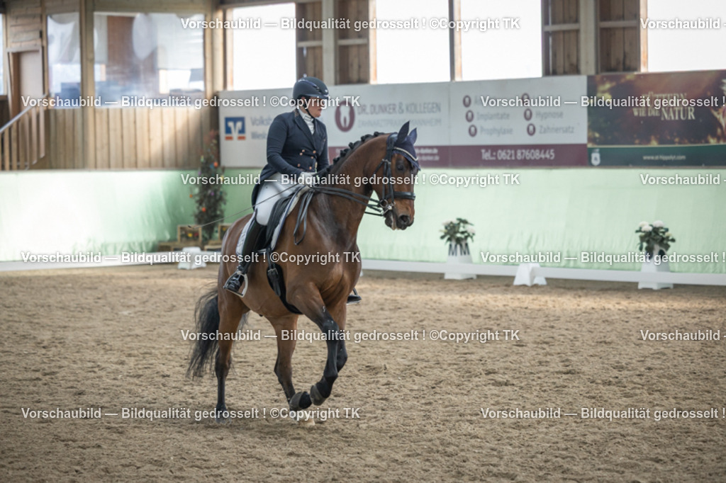 _D5A6609 | Emotionale Pferde- & People-Fotografie rund um Heidelberg, Leimen & Umgebung. Natürliche Fotos von Pferd, Mensch & Familie. Jetzt Termin sichern!