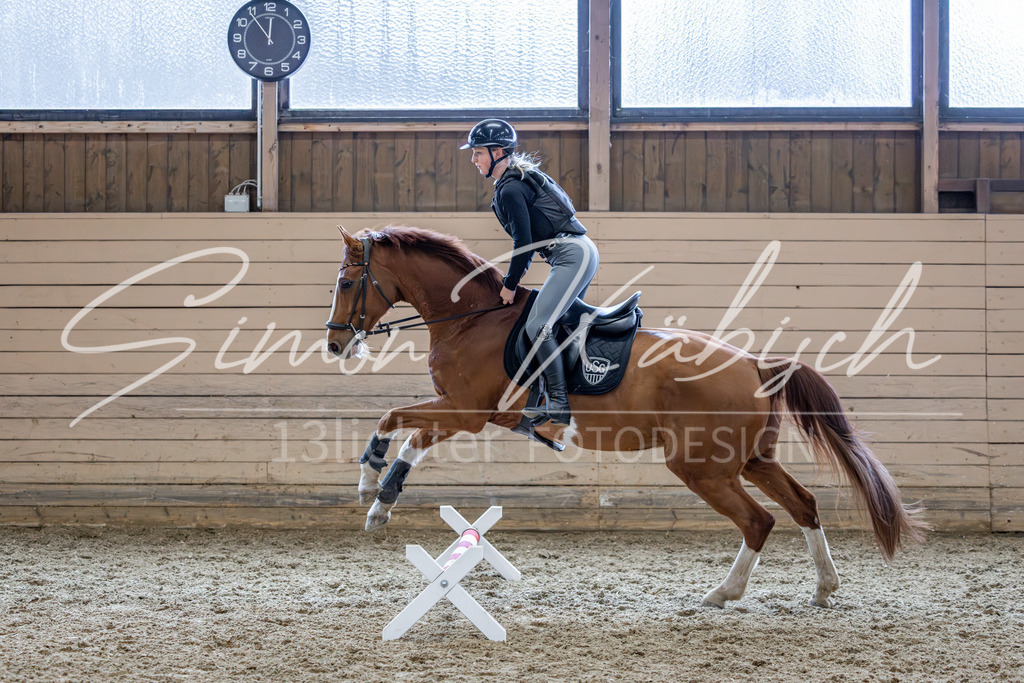 20260222-_3LI2171 | Tierfotografie Pferde, Hunde, Katzen, Haustiere.
Turnierfotografie Reitturniere, Reiten, Springreiten, Dressur in Hanau, dem Main-Kinzig-Kreis und dem Rhein-Main- Gebiet um Frankfurt