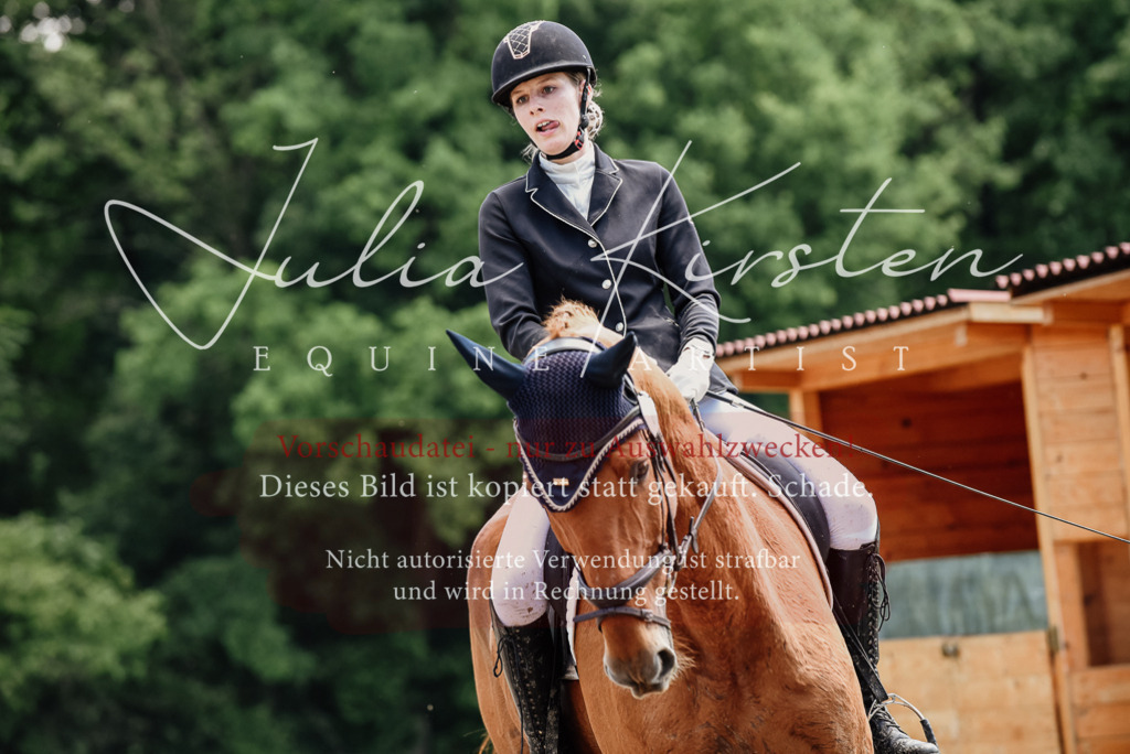 DSC_1604 | Pferde- und Turnierfotografie in Westsachsen. Pferdeportraits, Auftragszeichnungen und intuitive Kunst.