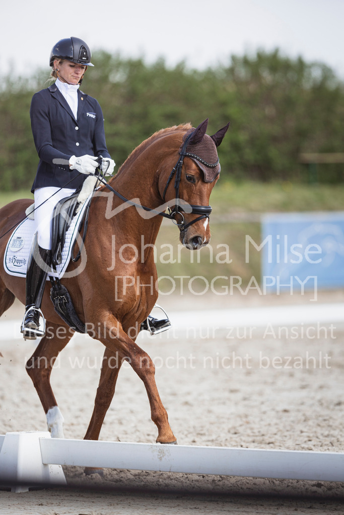 250416_Dressurpferde-L-259 | Deine schönsten Turniermomente als professionelle Fotos! Entdecke hochwertige Pferdesport-Fotografie im Online-Shop. Jetzt Fotos finden & bestellen!