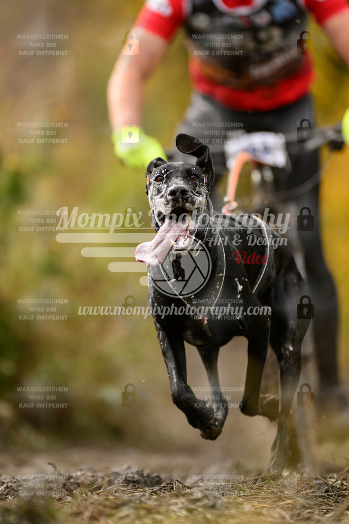 MompixPhotography_ICF_WC_2024_SA_Bike_-185 | PayLife