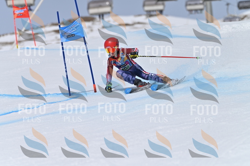 BGV_3652 | holidayphoto