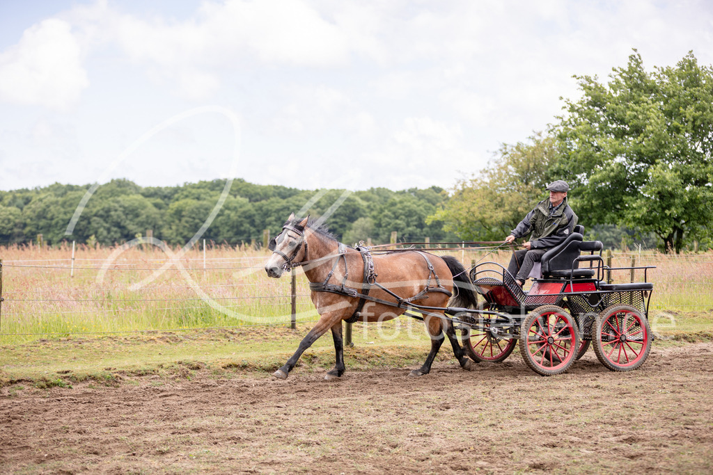846A0608 | fotosleben - Realisiert mit Pictrs.com