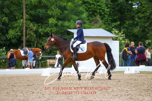 DKP46265 | Turnierfotos kaufen im Webshop von Daniel Kuhl Photography – entdecke professionelle Reitsportfotos aus Turnieren & Events. Hochwertige Turnierbilder online bestellen & sichern. Jetzt Fotos von Reitsportturnieren kaufen!