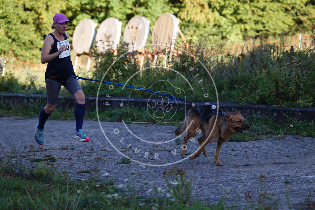 0L8A4764 | Hundefotografie, Tierfotograf, Pfotenfotografie, Fotoshooting Hund, Hunde Portrait, Hundesport, Hundeportraits, Heideshooting, Hunde, Sportfotograf, Hundefotograf, Turnierhundsport, THS,  - Realisiert mit Pictrs.com