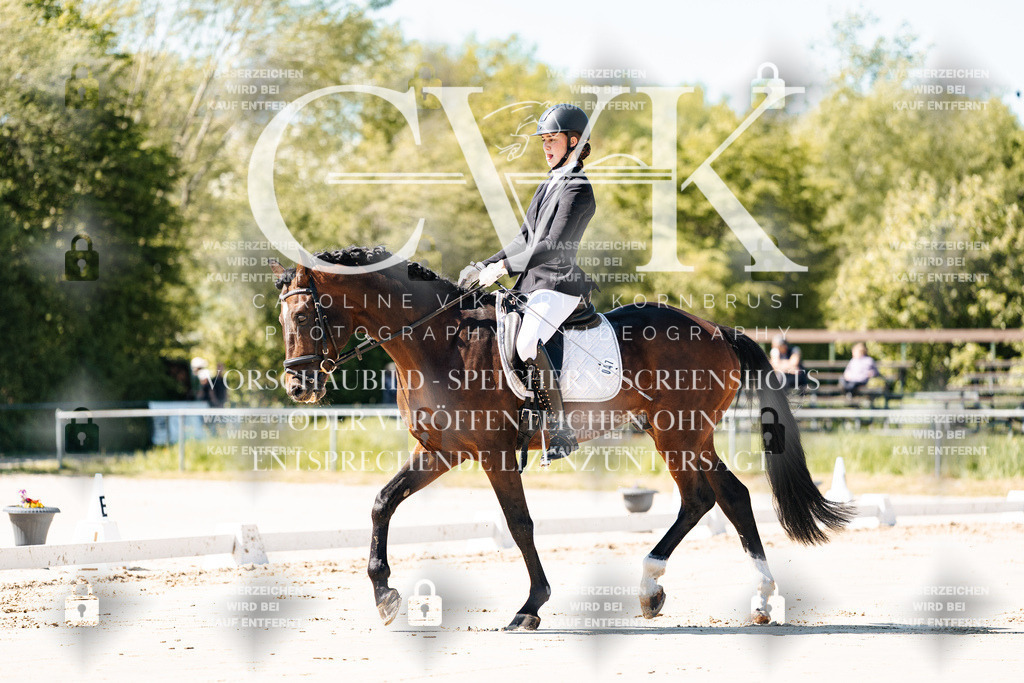 CK904913 | Turnierfotografie Pferdefotografie Trier Rheinland-Pfalz Pferdesport Reitsport Tierfotografie Sportfotografie Pferdevideo Pferdevideografie Equestrianvideography equestrianphotography  - Realisiert mit Pictrs.com