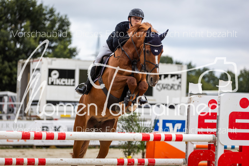 BHO-2PhSpr-M-5-2268 | MomenTaufnahmen Pferdesportfotos