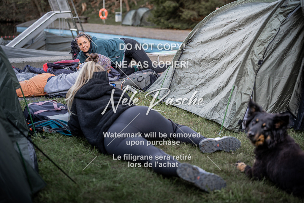 6Z1A1862 | nelerasche