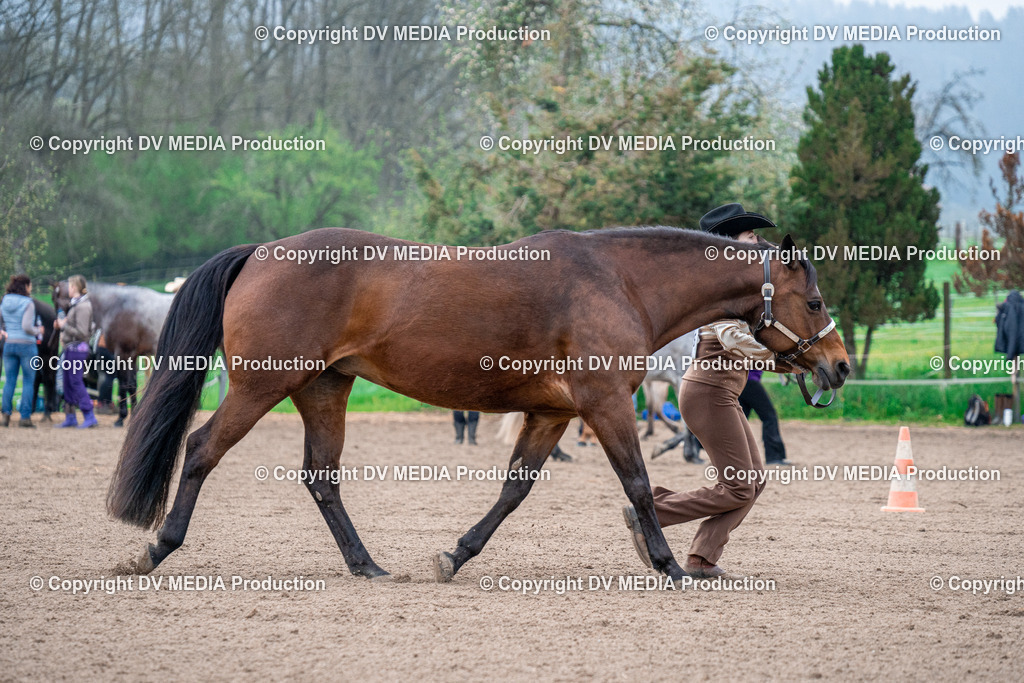 BA300060 | dv-media-shop - Realisiert mit Pictrs.com