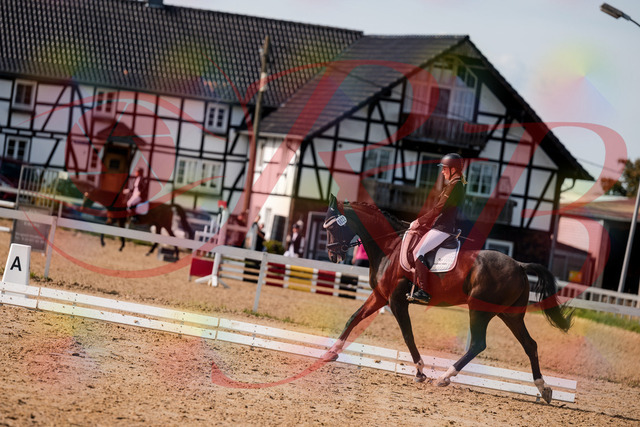 2026_10_03_Siefer-Hof_132124_Z63_82620518 | Professionelle Reitsport-, Turnier- und Eventfotografie von Robert Broda. Galerien mit ausgewählten und bearbeiteten Bildern direkt online ansehen und bestellen.