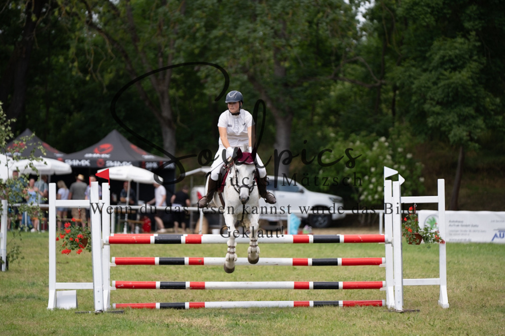 A7V06793 | Pferdefotograf