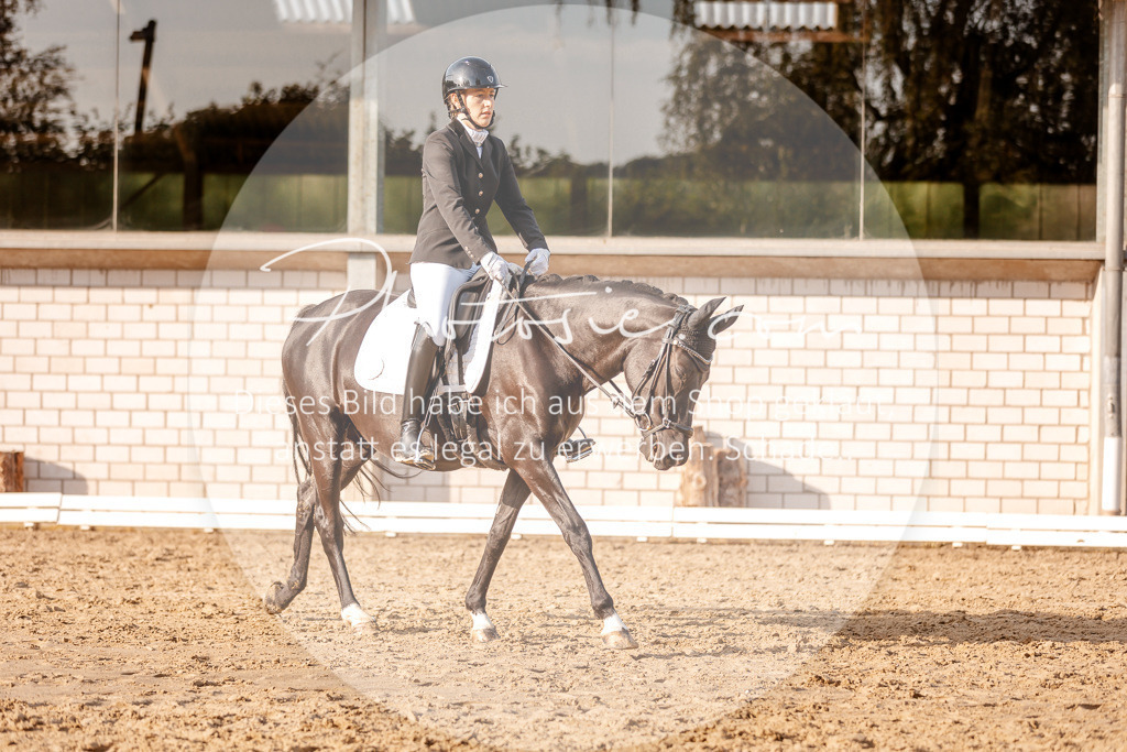 3I6A2584 | Stimmungsvolle Portraits und Reitsportfotografie im Ruhrgebiet und im Münsterland.

Pferdefotografie, Hundefotografie, Tierfotografie, Reportagen, Portraits von Tier und Mensch, Turnierfotografie in Bochum, Recklinghausen, Marl, Haltern am See, Dülmen.. - Realisiert mit Pictrs.com