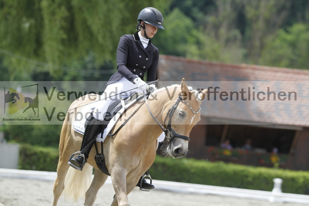 _MG_9518 | equestrian-live-com