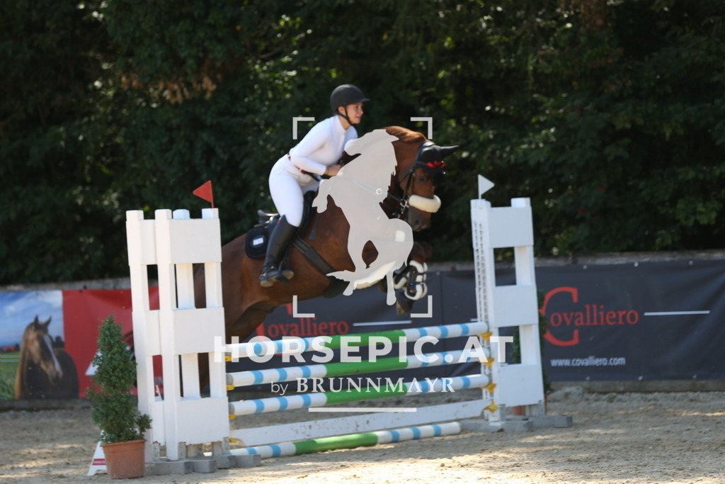 DL2Q8893 | Willkommen bei Brunnmayr - Design & Fotografie – Ihrem Spezialisten für Reitturniere und Pferdeveranstaltungen in Oberösterreich, Salzburg und Bayern! Seit über 17 Jahren sind wir leidenschaftlich dabei.